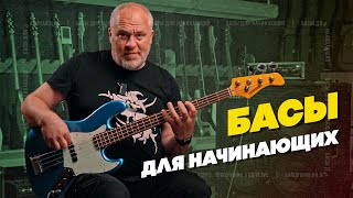 Три лучших баса для начинающих | Гитарный Клуб