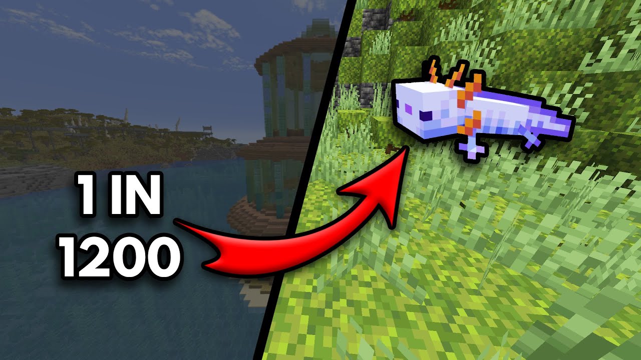 I Got the BLUE AXOLOTL in Hardcore Minecraft - YouTube