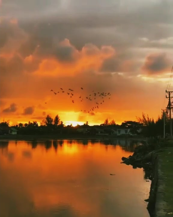 Story WA || IG pemandangan senja lagu Budi DoReMi - Mesin Waktu
