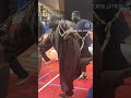 Touss de Gris Bordeaux le nouveau Empereur de la.litte sénégalaise au Dojo de Paris