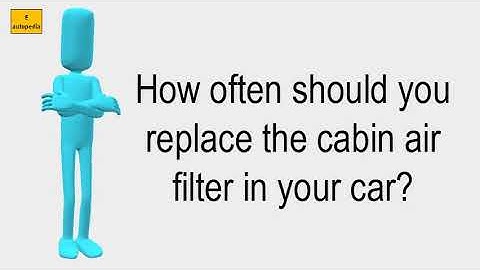 How often should you change your in cabin air filter