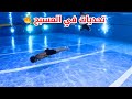 🏊‍в пёЏШЄШ ШЇЩЉШ ШЄ ЩЃЩЉ Ш Щ Щ ШіШЁШ Щ Щ ЩЉШ ЩЃЩЉ ШЇЩ Щ Ш Щ Ш Ш ШІЩЉШ Ш Ш Ш ЩѓШ ШЇЩЉЩ ЩЉШ ШЄШ ЩЉШЄЩ Ш ЩѓШі рџ Ґ 🏊‍в пёЏШЄШ ШЇЩЉШ ШЄ ЩЃЩЉ Ш Щ Щ ШіШЁШ Щ Щ ЩЉШ ЩЃЩЉ ШЇЩ Щ Ш Щ Ш Ш ШІЩЉШ Ш Ш Ш ЩѓШ ШЇЩЉЩ ЩЉШ ШЄШ ЩЉШЄЩ Ш ЩѓШі рџ Ґ