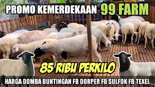 Download Lagu UPDATE HARGA DOMBA HARI INI TERMURAH BUNTINGAN FULL BLOOD DORPER FB SULFOK DI 99 FARM KOTA BATU MP3 Download Lagu UPDATE HARGA DOMBA HARI INI TERMURAH BUNTINGAN FULL BLOOD DORPER FB SULFOK DI 99 FARM KOTA BATU MP3