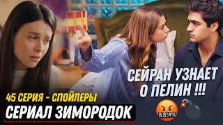 Сериал Зимородок 45 серия русская озвучка спойлеры - Сейран узнает о Пелин?