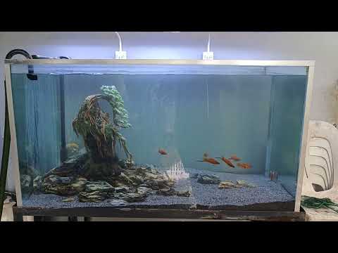 After Maintenance ...