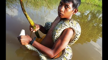 Primitive Technology: Simple DIY Python Snake Trap Using Arrow & Bow That Work 100%