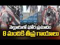 నెల్లూరులో ఘోర ప్రమాదం : Horrific Road Accident In Nellore - 8 Womens Severly Injuried | TV5