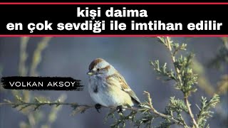 Kişi Daima En Çok Sevdiği Ile Imtihan Edilir Volkan Aksoy