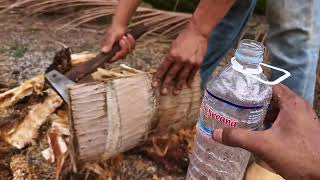 Delicious Cooking Coconut Worms | Primitive Cooking Coconut Worms