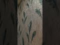 #decor #wall #home