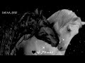 أناشيد اسلامية أناشيد جهادية أناشيد حزينه انشودة لو بعدنا لو نسينا أناشيد اسلامية أناشيد جهادية أناشيد حزينه انشودة لو بعدنا لو نسينا