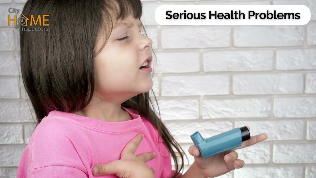 Mold Testing Service by City Home Inspectors