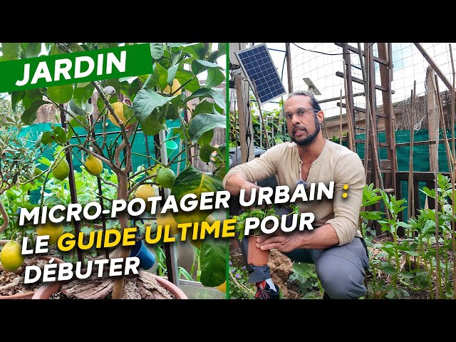 Micro-potager urbain : Irfaan vous dévoile tous ses secrets pour une récolte abondante !