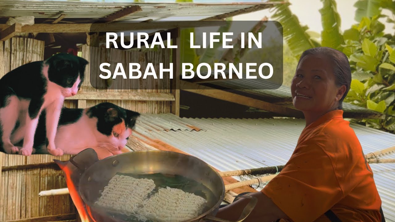Rural Life In Borneo Malaysia | Slow Living Rural Life