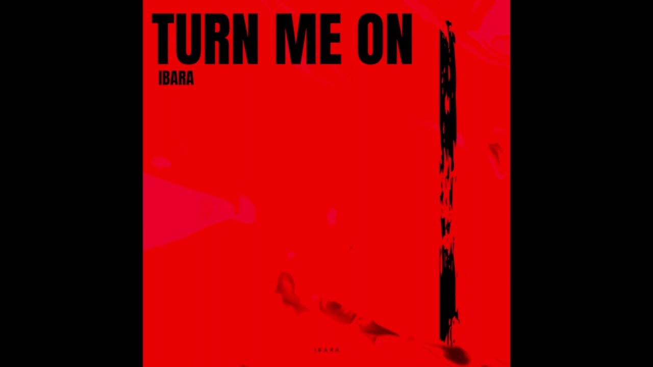 Turn Me On (IBARA REMIX)