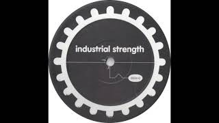 Disintegrator - Lock On Target (Temper Tantrum Remix) - Industrial Strength Records IS034