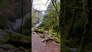 📍Torc Waterfall, Killarney Ireland #reels #nature #photography #shorts #travel #vlog #fyp #happy