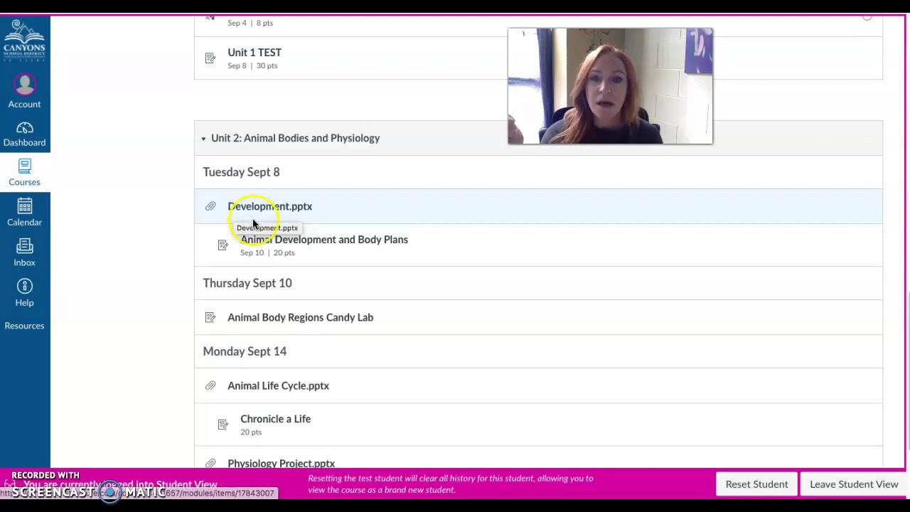 Zoology: How to work online at home