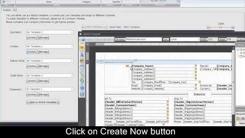 How to customize invoice template II - Xin Invoice software 3.0