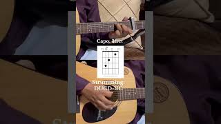 Sanam Re #ytshorts #guitar #tutorial #music #shorts #learn #viral #trending #love #musician