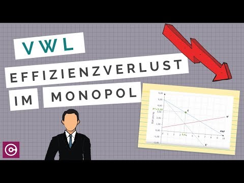 Volkswirtschaftslehre - Effizienzverlust im Monopol