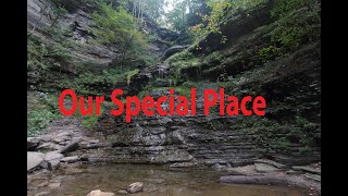 Cathedral Falls // A waterfall in West Virginia // Gauley, West Virginia