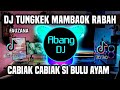 Dj tungkek mambaok rabah remix full bass viral tiktok terbaru 2023  cabiak cabiak si bulu ayam