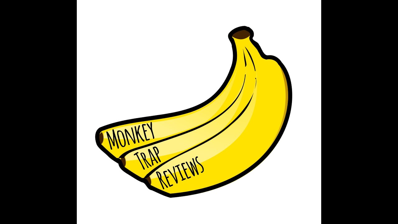 YLG Bike Seat Review (Amazon)