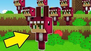 RaptorGamer