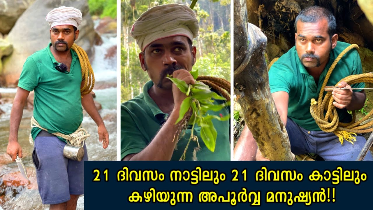 21 ദിവസം നാട്ടിലും 21 ദിവസം കാട്ട് ഭക്ഷണവും കഴിച്ച് കാട്ടിലും കഴിയുന്ന അപൂർവ്വ മനുഷ്യൻ | Wayanad