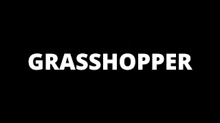 Algorithmic Modelling with Grasshopper