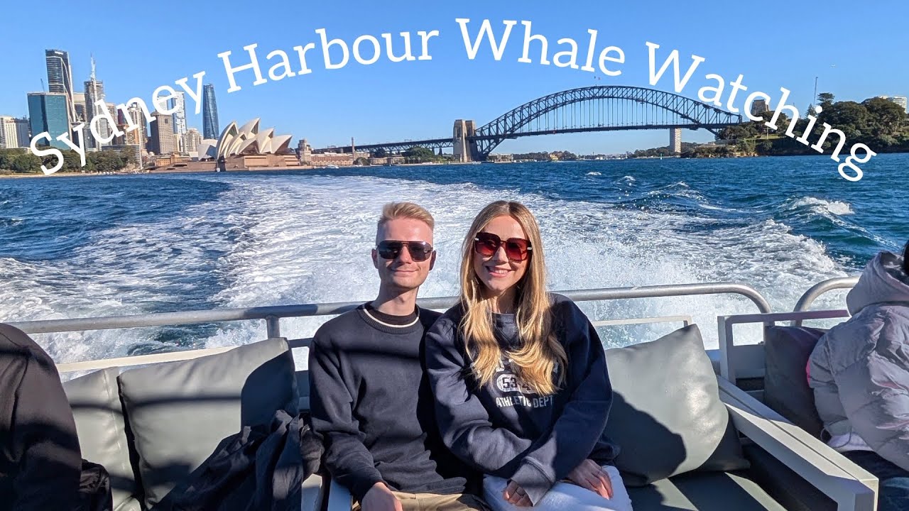 SYDNEY HARBOUR WHALE WATCHING!!! 
