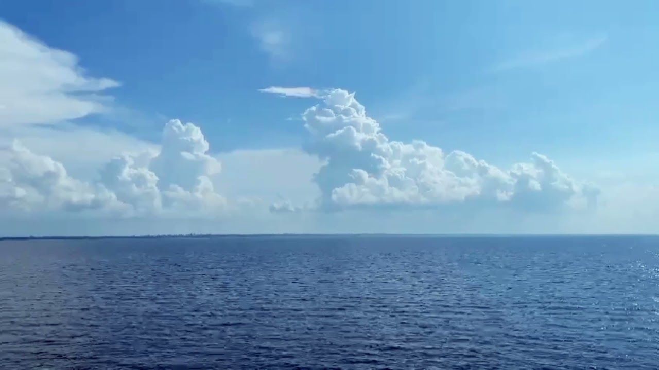 MyMomi - The Beauty Of The Beach (Official Video)