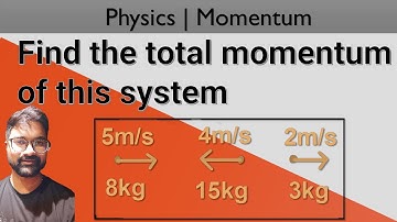 Find the total momentum of this system