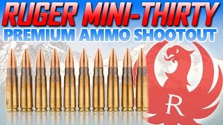Career Overview Ruger Mini 30 Premium Ammo Accuracy Shootout!