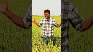 అమ్మాయిలతో మాట్లాడితే నాకు భలే ఉంటుంది 😍#viralshorts #trendingshorts #imax70mm