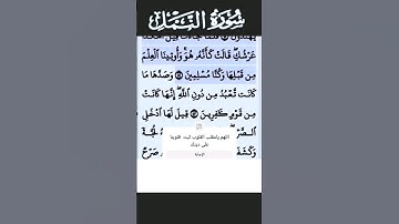 سورة النمل الآية 42 #قرآن #تلاوات #سورة