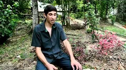 Ayawaska Peru Experience  - Temple of the Way of Light