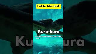 fakta menarik tentang Kura-kura #faktamenarik #short #fauna