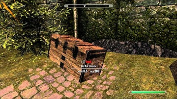 Skyrim- Do not Delete this box
