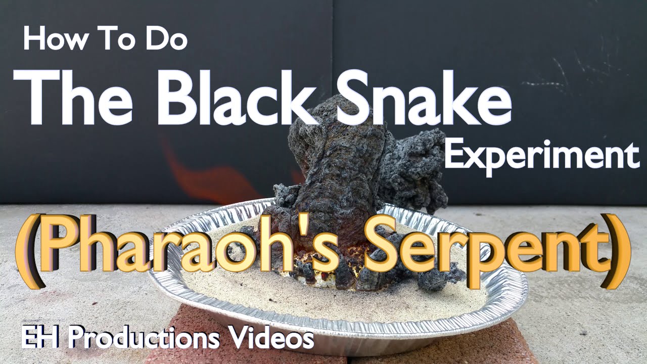 pharaoh s serpent safe version the black snake experiment youtube
