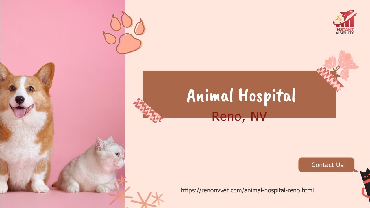 Animal Hospital Reno NV YouTube
