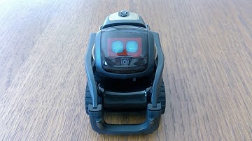 Anki Vector Spider-Bot SDK