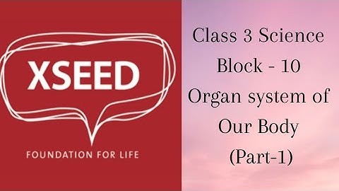 Class 3 Science Block-10 Organ System of our body (Part-1)