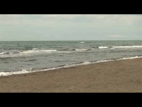 ფოთის სანაპიროზე  დიდი რაოდენობით წყალმცენარეები შეინიშნება 06 20 07