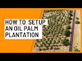 How to Setup an Oil Palm Plantation in 2021 @SabiAgrik TV