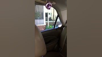 Cute Bluebird attacking it