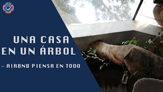 RECOMMENDATION TREEHOUSE Cuernavaca AIRBNB