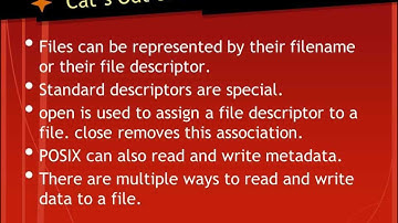 Reading and Writing Files with POSIX