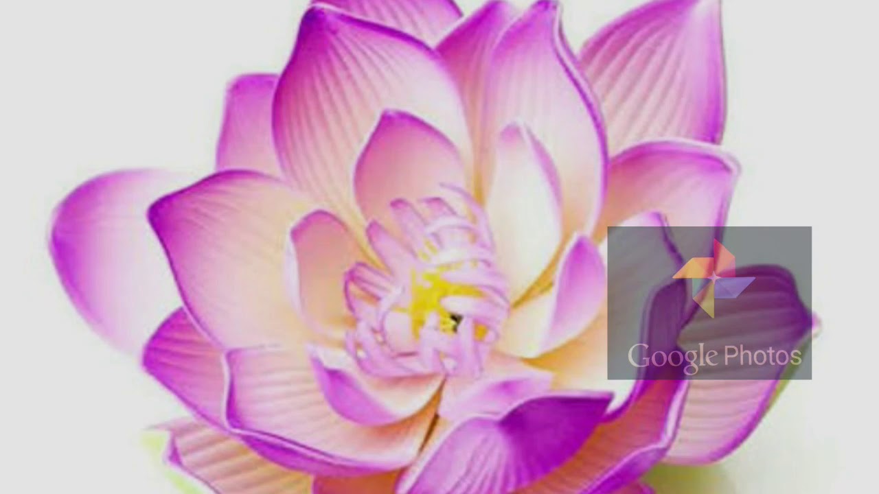 Photos Se video kaise banate hain - YouTube